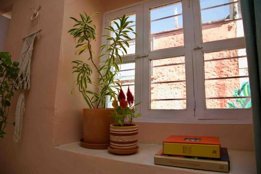 Great Location ! 4 Bedroom Home In The Heart Of Cartagena Екстериор снимка